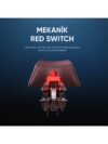 Gameagle Strike Compact Mekanik Klavye Hot Swap Anti Ghosting Türkçe Örgü Kablo Oyuncu Klavyesi - Görsel 2